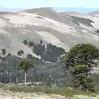 vista desde el Volcan Batea Mahuida