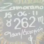 Zamo 262