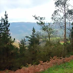 DSCN6238