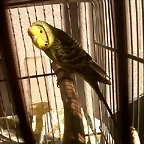 IMG00096-20100920-0655