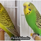 FB_IMG_1571391624674