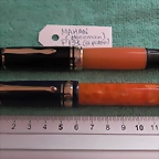 S2630006