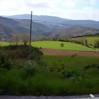 DSCN8983