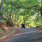 3-IMG_2732