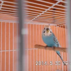 CIMG0413