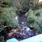DSCN0645