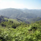 DSCN3779