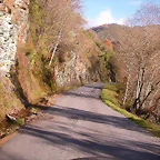 DSCN0498