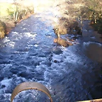 DSCN0502