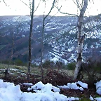 DSCN0595