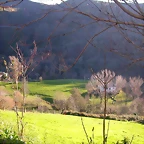 DSCN0514