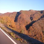 DSCN0556
