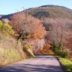 DSCN0499
