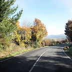 IMG_0157