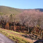 DSCN0449