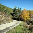 IMG_0215