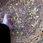 DSCN0395