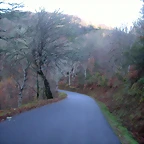 DSCN0510