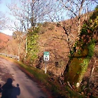 DSCN0549
