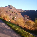 DSCN0554