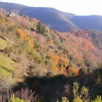 DSCN0477
