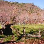 DSCN0435