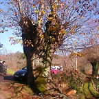DSCN0447