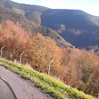 DSCN0481
