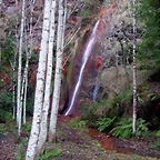 DSCN0495