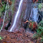DSCN0497