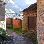 DSCN0406