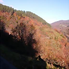 DSCN0490