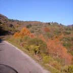 DSCN0466