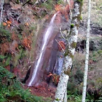 DSCN0496