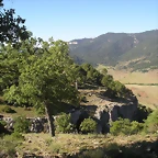 P1010094