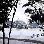 Monte Olivia entre lengas, Ushuaia