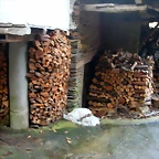 DSCN6154
