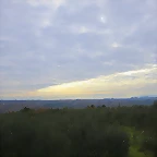 33-IMG_4171