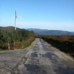 DSCN9135