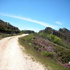 DSCN8509