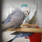 FB_IMG_1496228090026