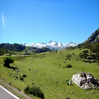DSCN2662