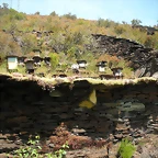 DSCN5791