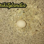 PicsArt_10-17-09.10.39
