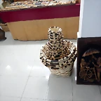 DSCN0849