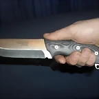 T1