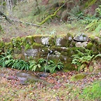 DSCN5780