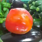 Pimiento tomatero