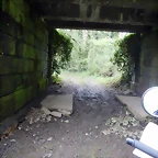 DSCN9176
