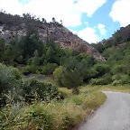 DSCN1576